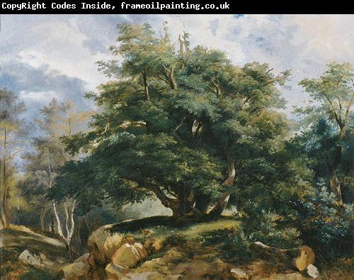 Jules Coignet The Old Oak in the Forest of Fontainebleau